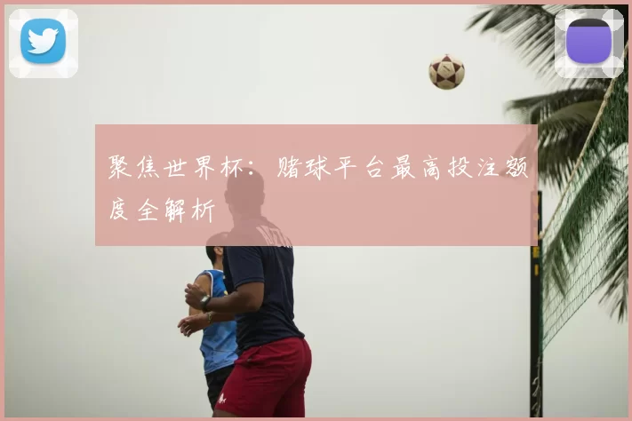 聚焦世界杯：赌球平台最高投注额度全解析