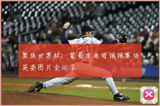 聚焦世界杯:葡萄牙老将佩佩赛场英姿图片全记录