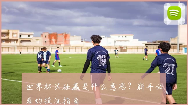 世界杯买独赢是什么意思?新手必看的投注指南