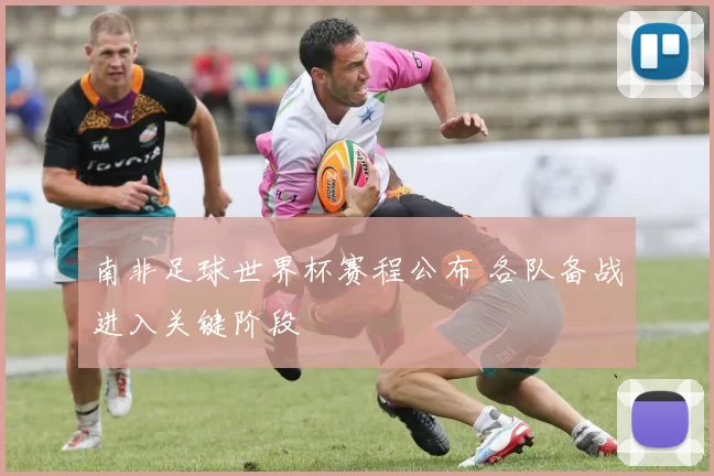 南非足球世界杯赛程公布 各队备战进入关键阶段