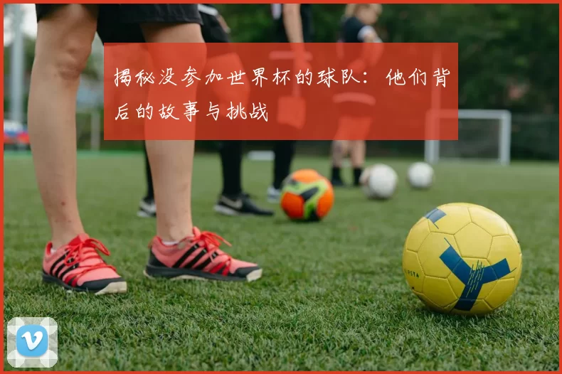 揭秘没参加世界杯的球队:他们背后的故事与挑战
