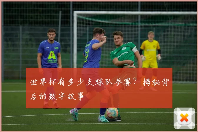 世界杯有多少支球队参赛？揭秘背后的数字故事