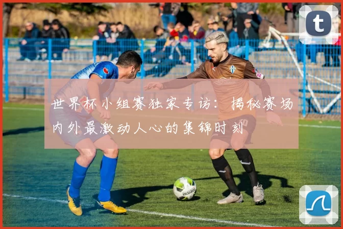 世界杯小组赛独家专访：揭秘赛场内外最激动人心的集锦时刻