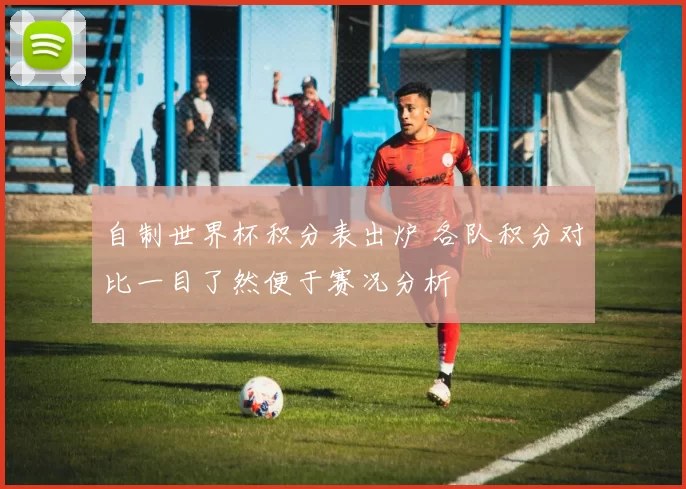 自制世界杯积分表出炉 各队积分对比一目了然便于赛况分析