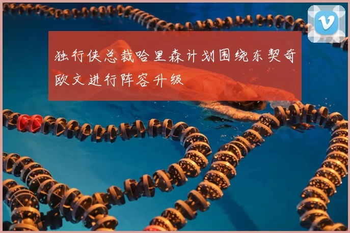 独行侠总裁哈里森计划围绕东契奇欧文进行阵容升级