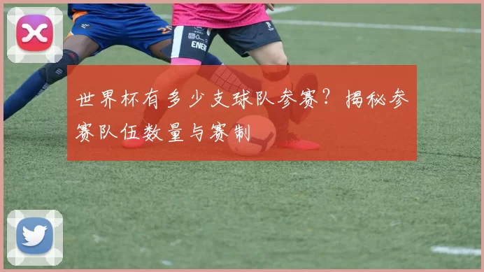 世界杯有多少支球队参赛?揭秘参赛队伍数量与赛制