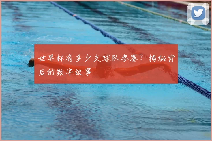 世界杯有多少支球队参赛？揭秘背后的数字故事