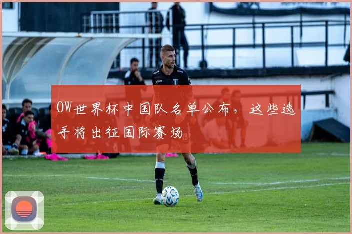 OW世界杯中国队名单公布，这些选手将出征国际赛场