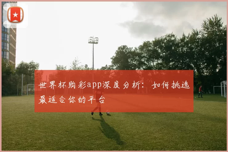 世界杯购彩app深度分析：如何挑选最适合你的平台