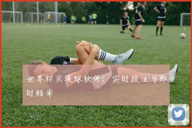 世界杯买滚球软件:实时投注与即时赔率