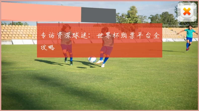 专访资深球迷:世界杯购票平台全攻略