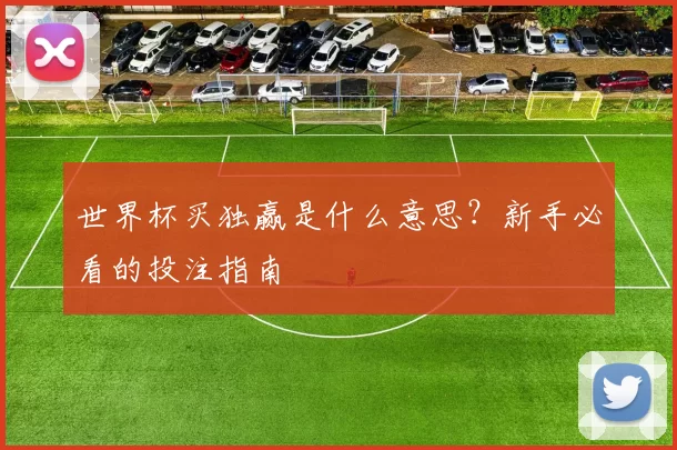 世界杯买独赢是什么意思?新手必看的投注指南