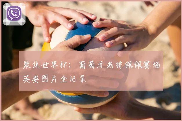 聚焦世界杯:葡萄牙老将佩佩赛场英姿图片全记录