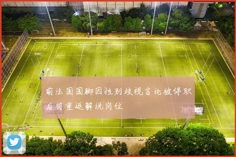 前法国国脚因性别歧视言论被停职后将重返解说岗位
